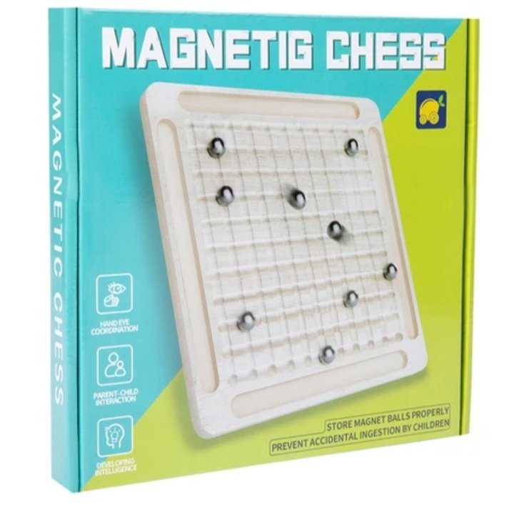 Magnetic Chess